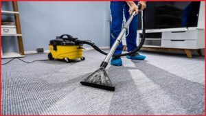 Best Carpet Cleaning